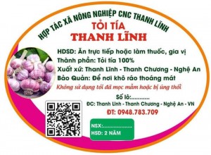tỏi tía 1
