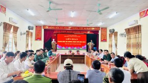 toàn cảnh NV