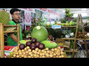 Nở rộ sản phẩm OCOP và câu chuyện đầu ra sản phẩm | VTC16