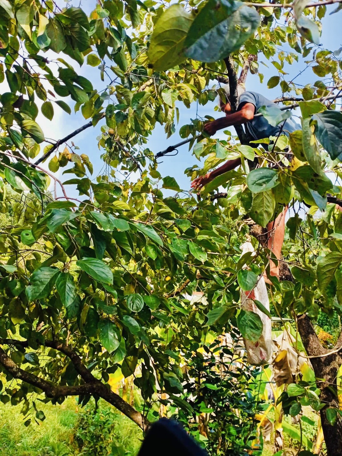 ông thiền