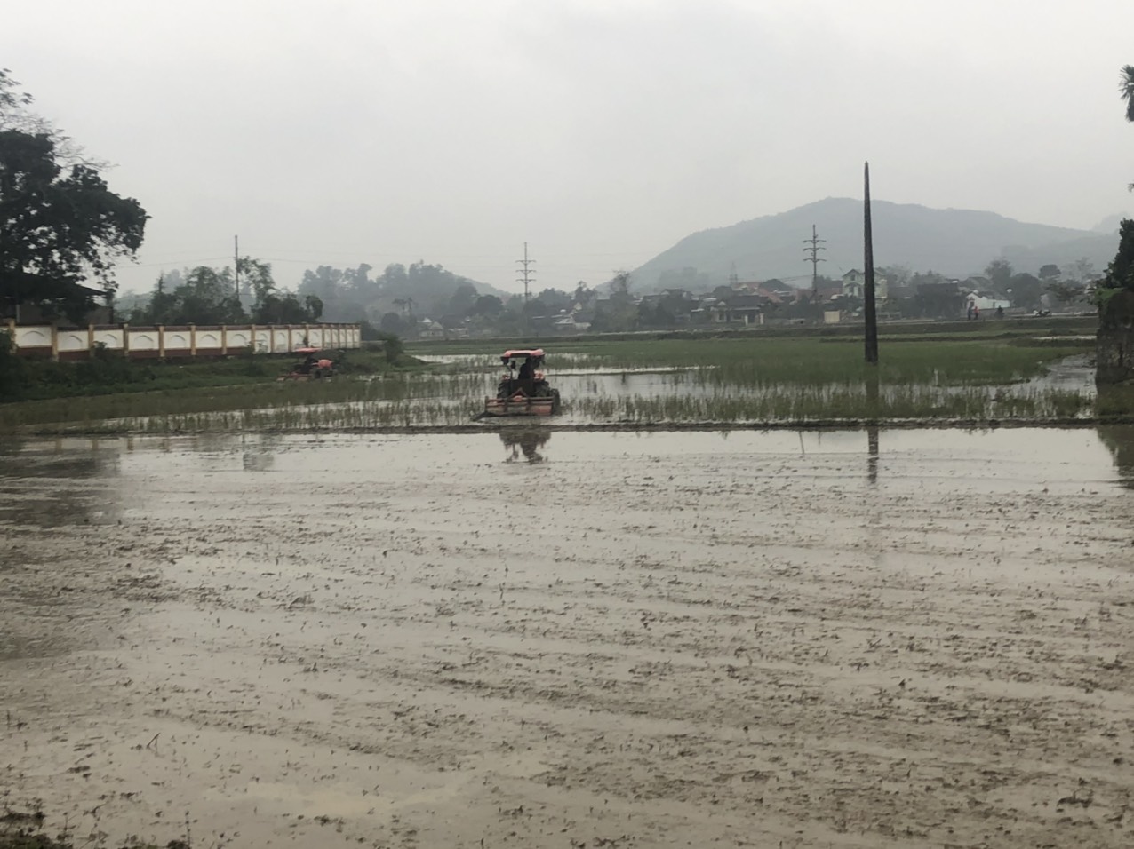 cày bừa