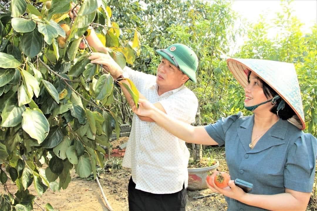 hồng 2