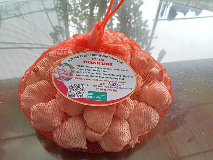 tỏi tía