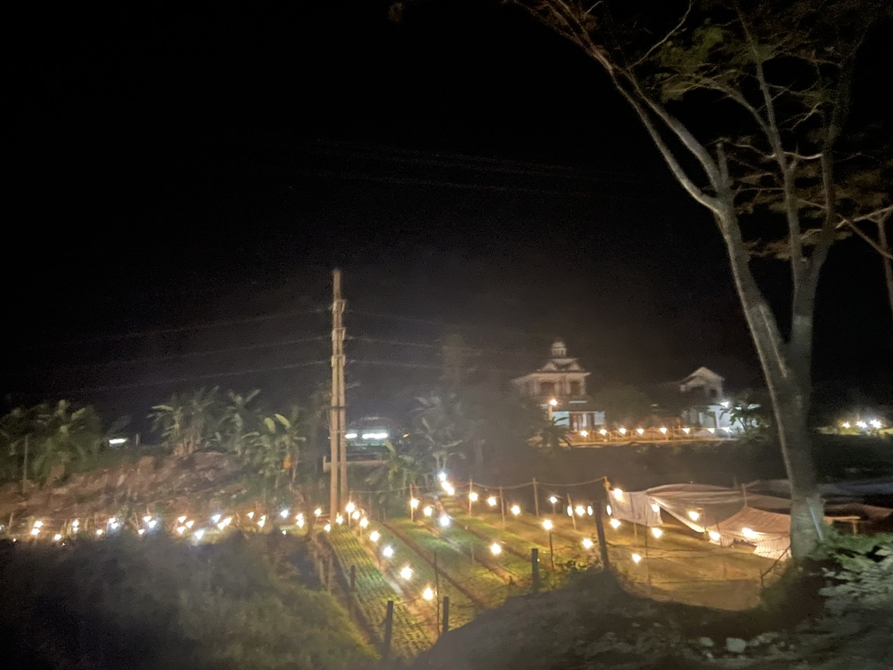 ảnh đẹp 1