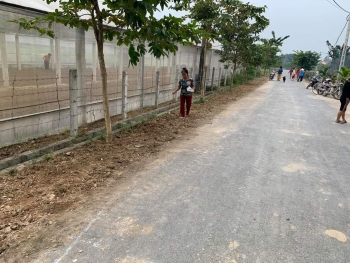 Nhân dân thôn Thủy Hồng trồng hoa